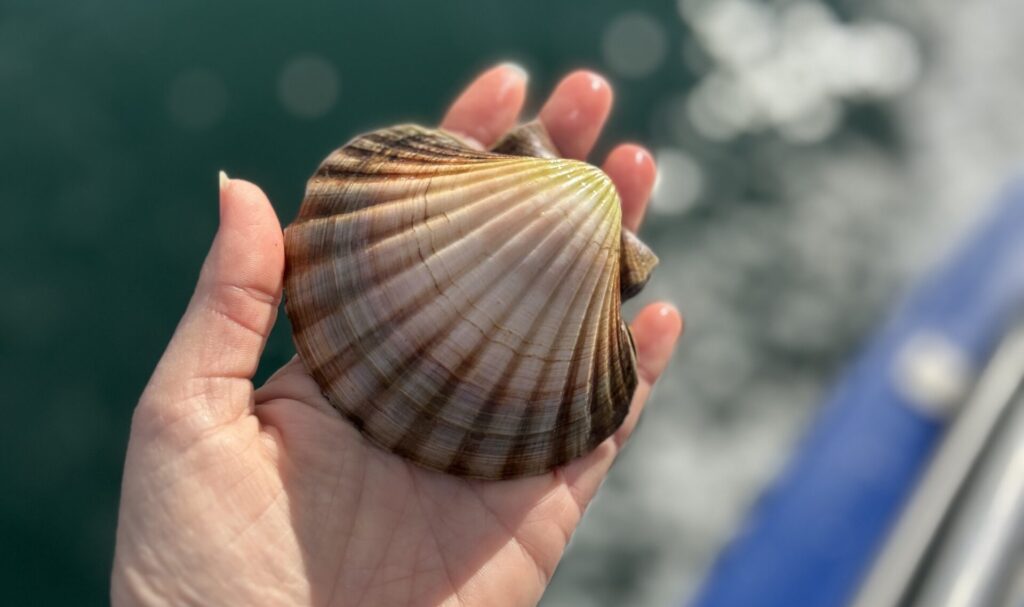 Photo of Deluxe Seafood Tour