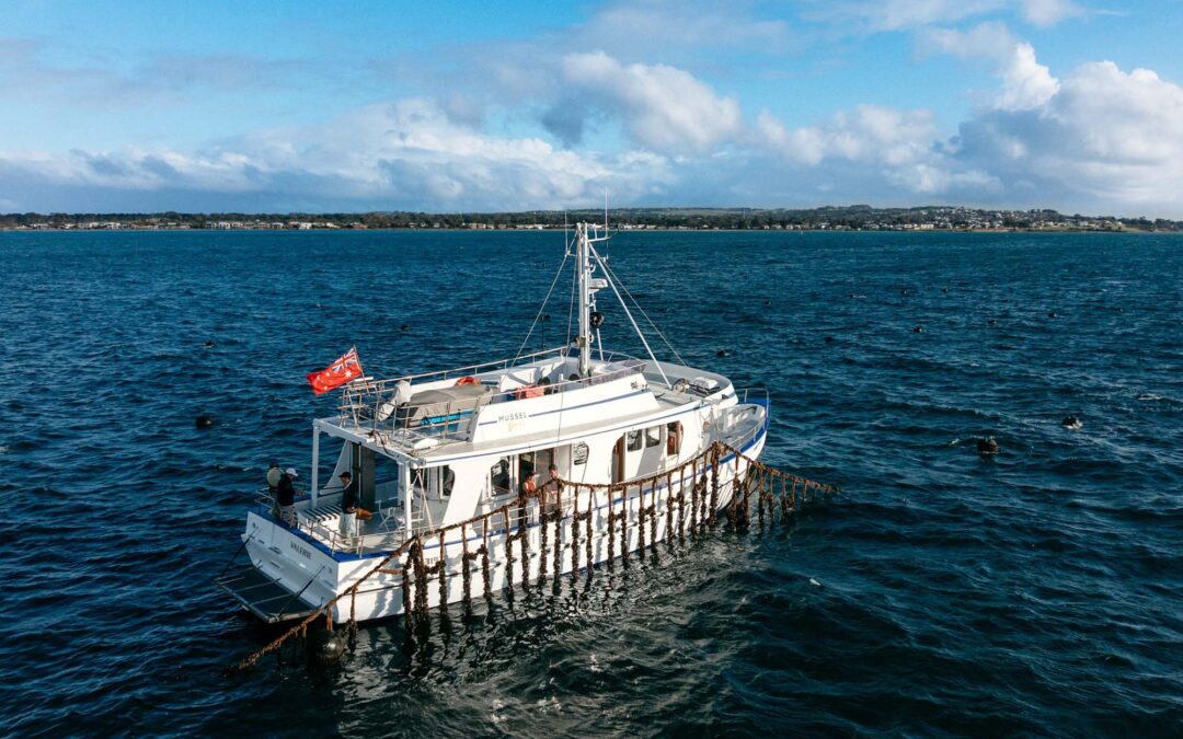 Things to do in Portarlington & The Bellarine