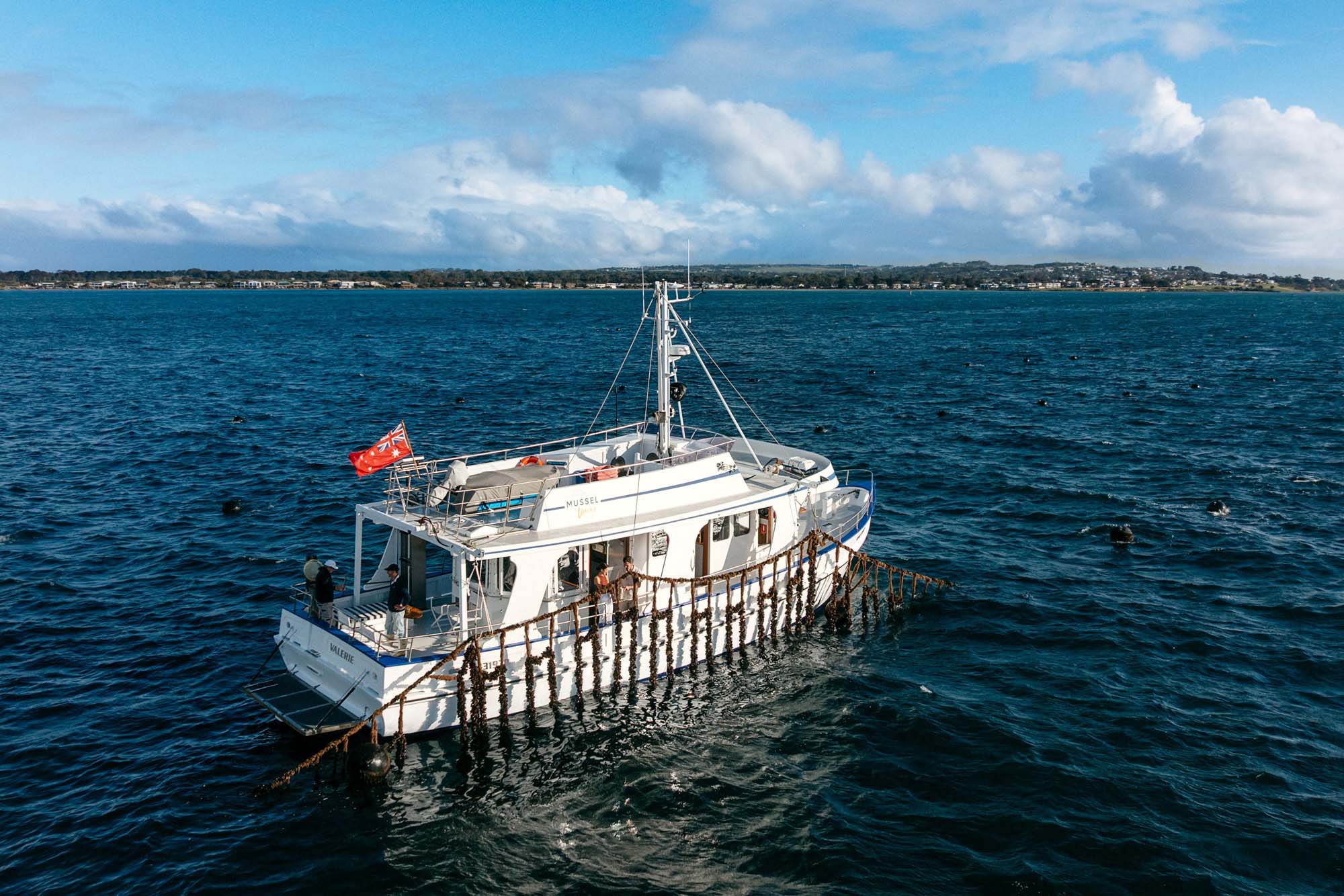 Things to do in Portarlington & The Bellarine