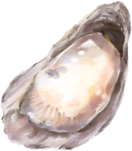 Watercolour-Oyster-2