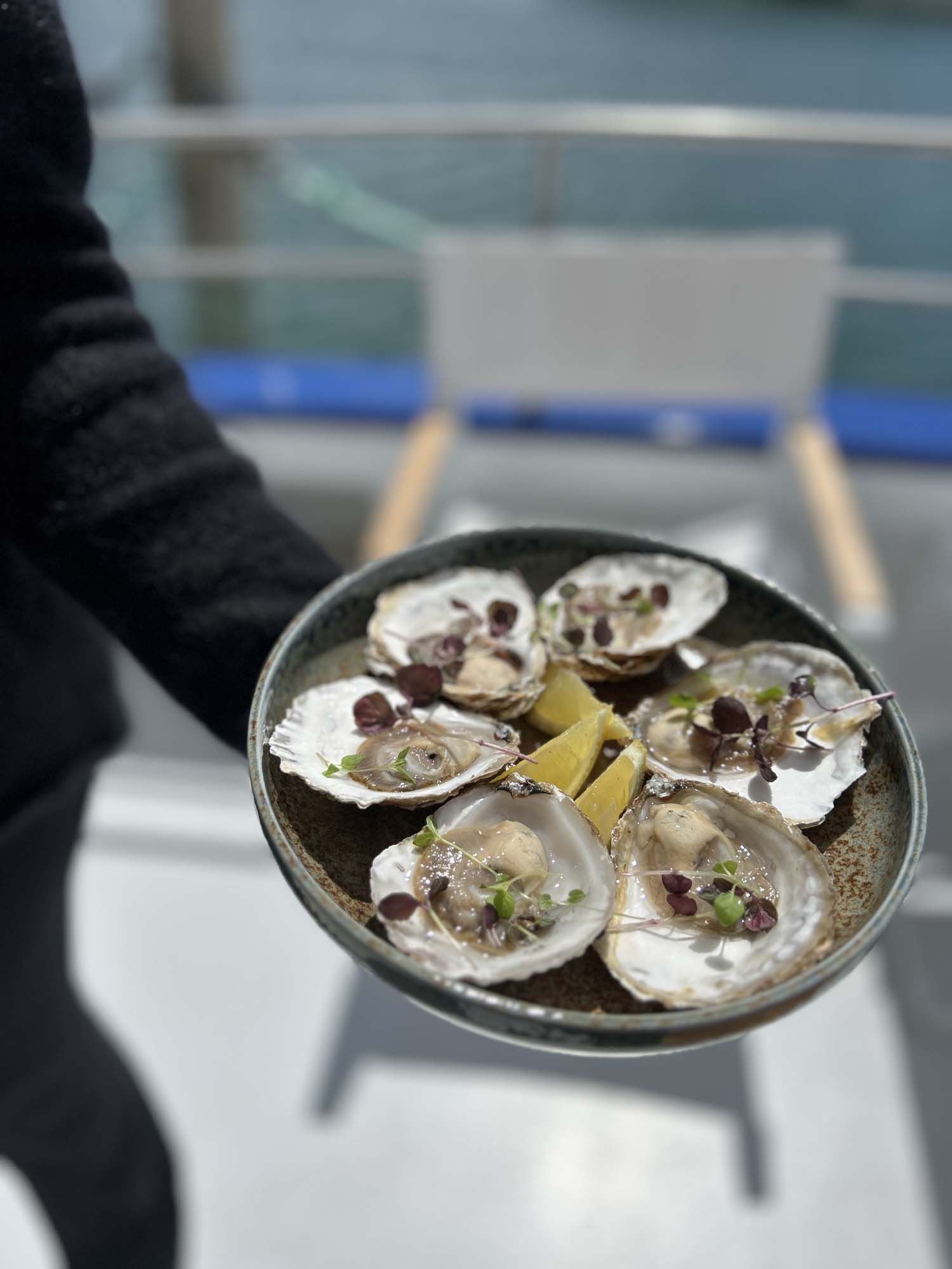 angasi oyster PMT (9)