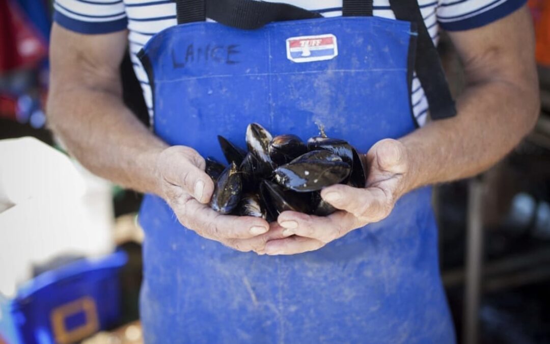Give the Gift of Mussels