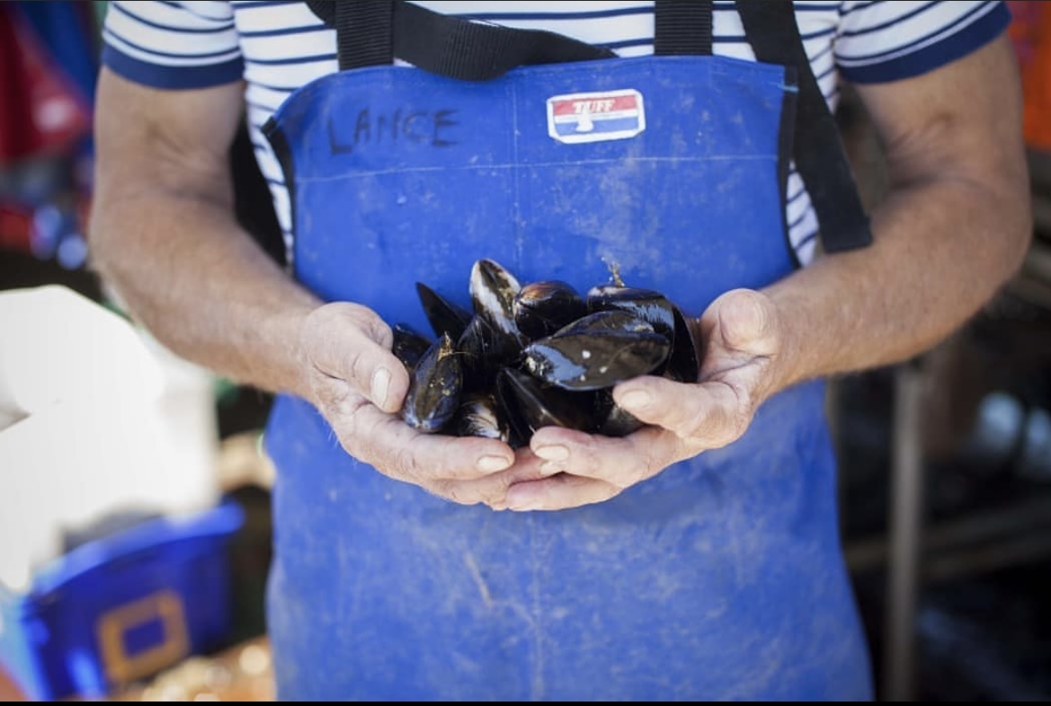 Give the Gift of Mussels